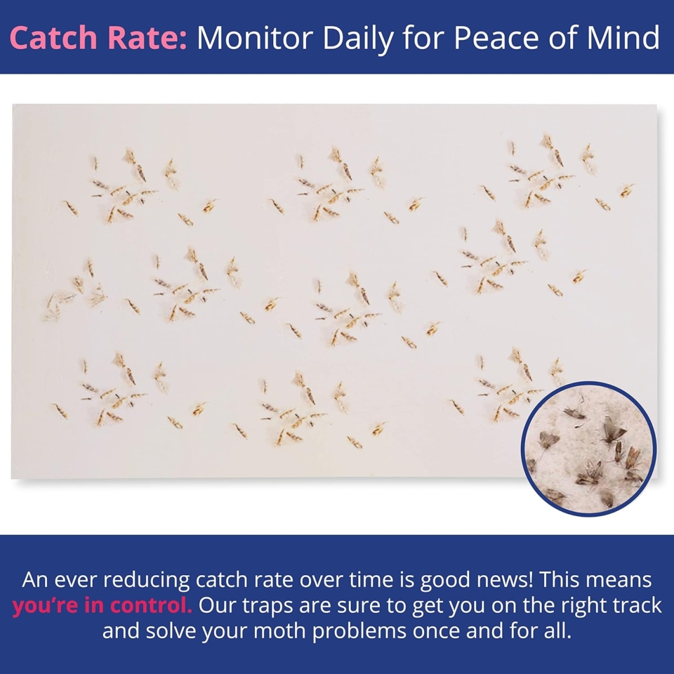 Moth; Moonlake Republic; Moth Traps for Clothes & Pantry - Dual Pantry Moth Trap and Clothing Moth Traps; Natural & Odor-Free Closet and Pantry Moth Traps with Pheromones; Set of 6 Moth Traps for House